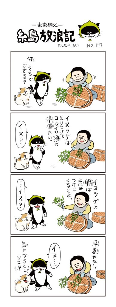 東京猫又・糸島放浪記 四コマ漫画 No.197
